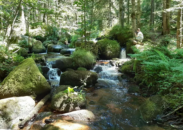 Terasse